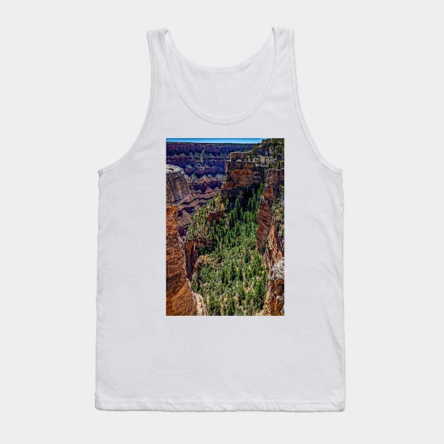 Mather Point Grand Canyon Tank Top by Gestalt Imagery